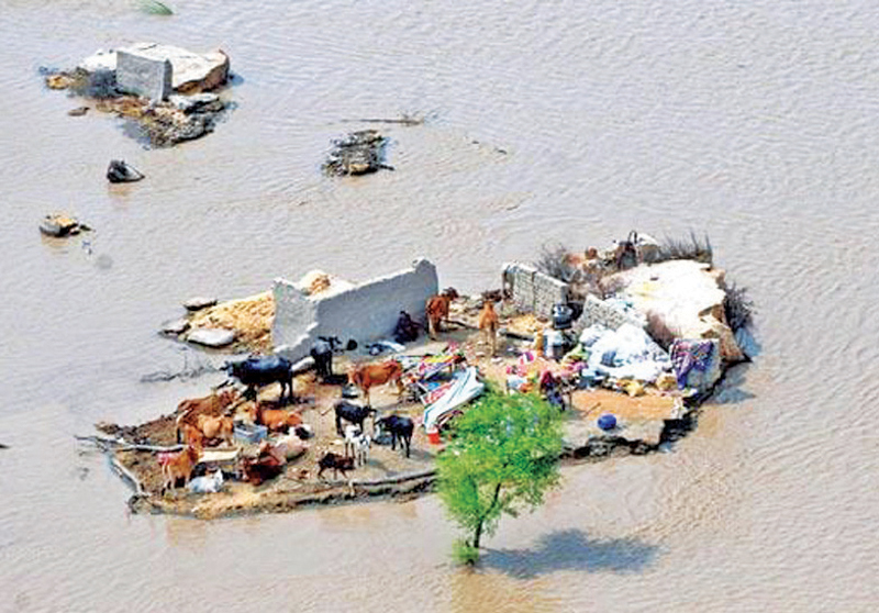 An aerial view of flooded areas near Muzaffargarh in Pakistan's southern Punjab Province.