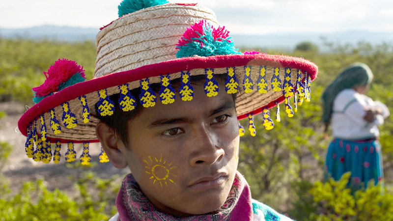 Contemporary Mexican online film series