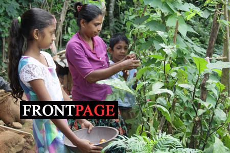 Schools without walls, improving livelihoods of smallholder farmers Schools without walls, improving livelihoods of smallholder farmers
