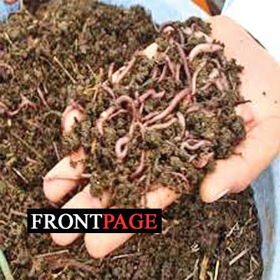 “Nitrogen for Life” – Global perspective