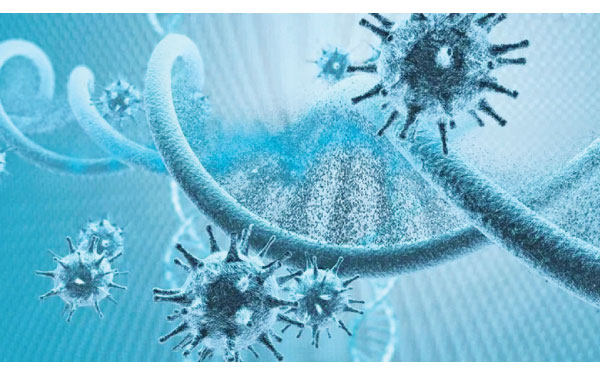 The relationship between the Coronavirus and human genetics is murky.