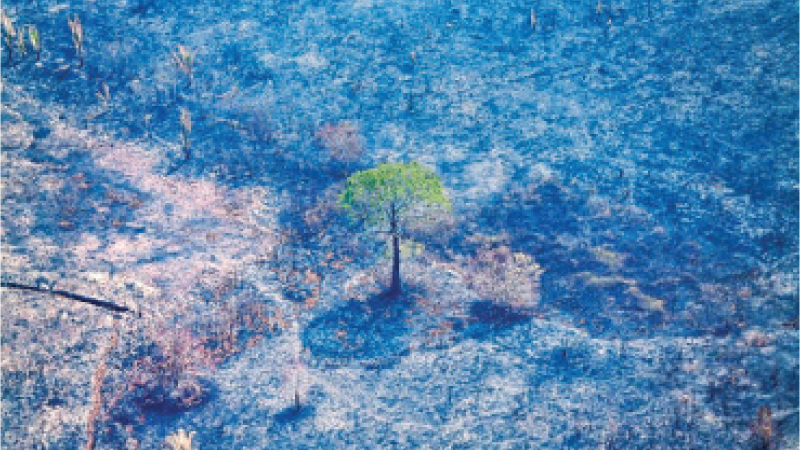 An aerial view of a burned tract of Amazon jungle as it was cleared by loggers and farmers near Porto Velho, Brazil.