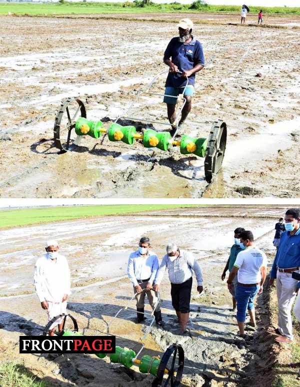 Paddy cultivation with Row Seeding Technology introduced in Ampara district Paddy cultivation with Row Seeding Technology introduced in Ampara district