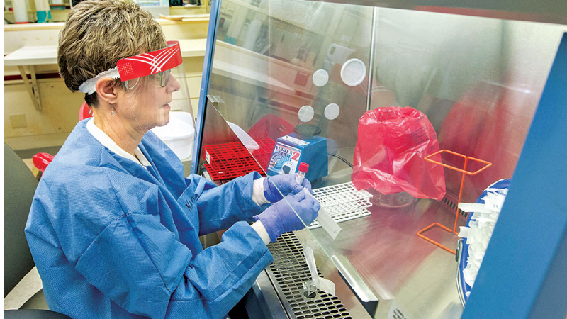 A clinical lab scientist prepares samples to be tested for COVID-19.
