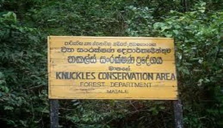 E0B6B1E0B69AE0B6BDE0B78AE0B783E0B78A20E0B6BBE0B69AE0B78AE0B782E0B792E0B6ADE0B6BA 7