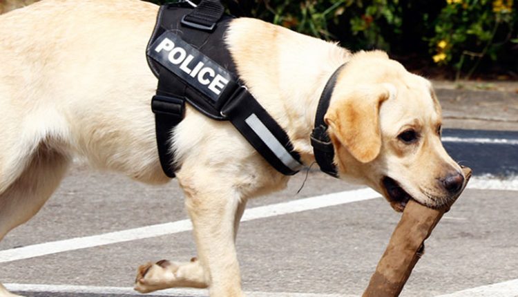 police dog sri lanka