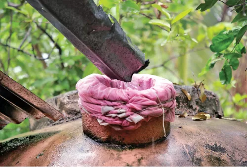 Rainwater harvesting system for vulnerable households in the Dry Zone 