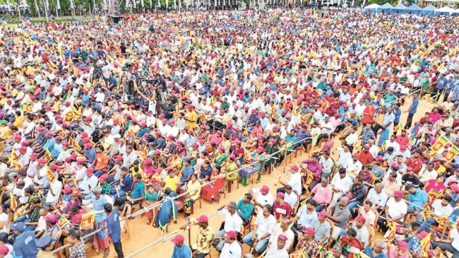 A section of the crowd 