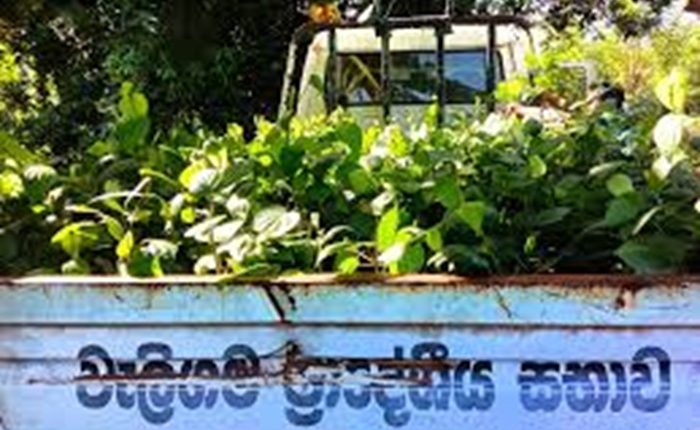 Weligama Pradeshiya Sabha