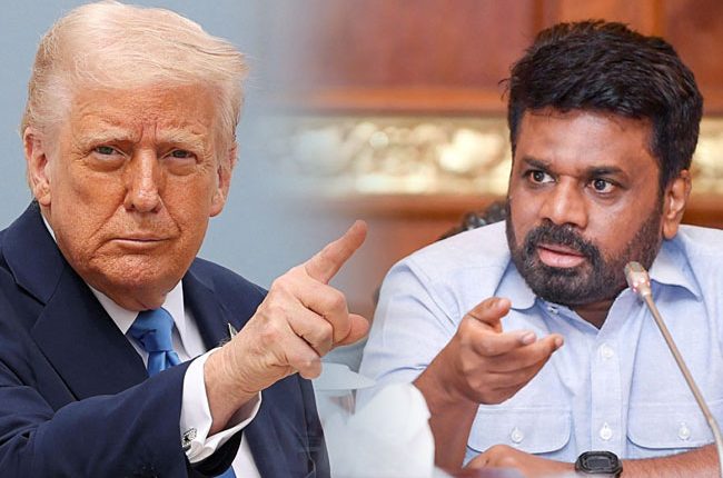 1744094348 anura trump 6