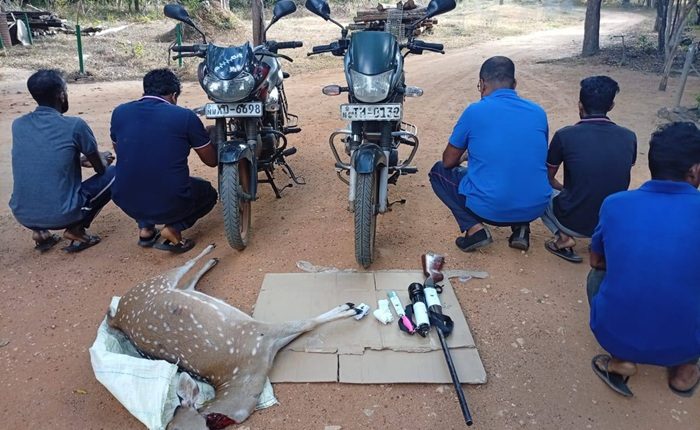 Deer hunting WIlpattu