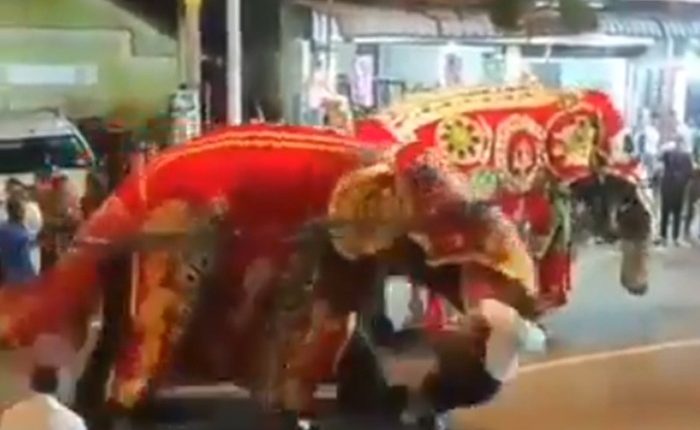 Perahera elephant attack
