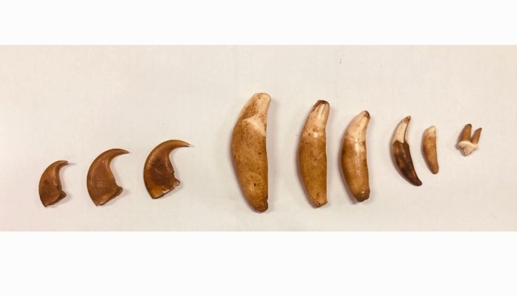 Screenshot 20250827 144353 Gallery