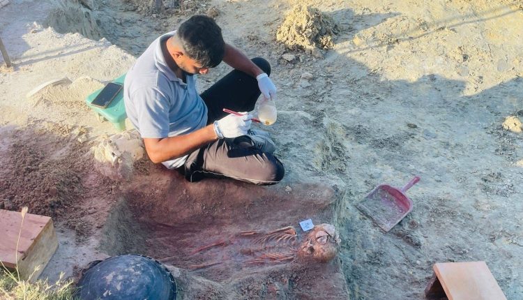 WhatsApp Image 2025 08 27 at 15.45.03