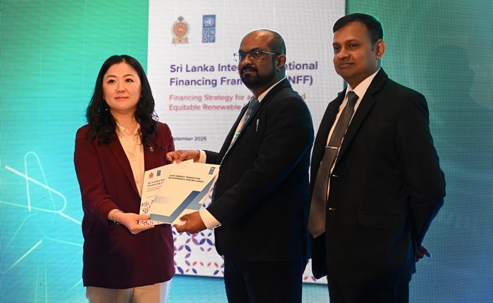 UNDP suatainable goals