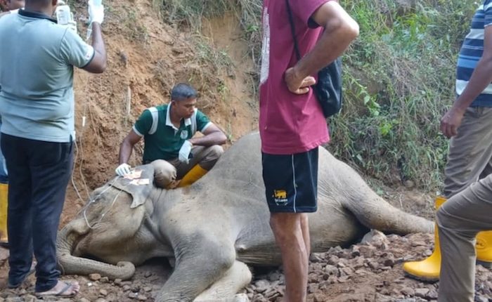 480272962 18074555437708474 2185602234443961679 n