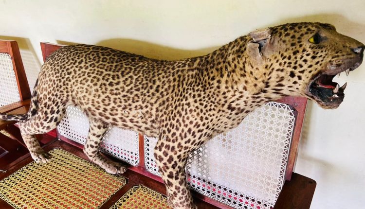 FB IMG 1760695187482