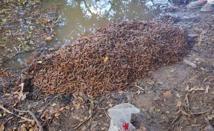 ammunition Thalawa school