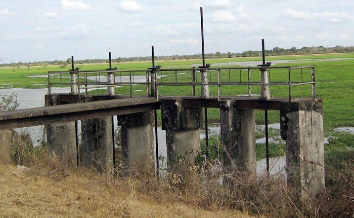 117334462 1248931625456394 174872414618938580 n