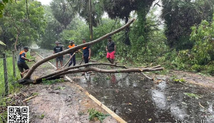 FB IMG 1764325902833