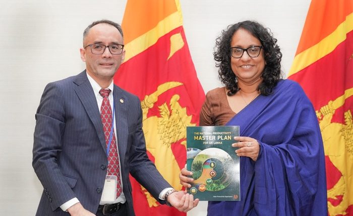 Harini productivity master plan