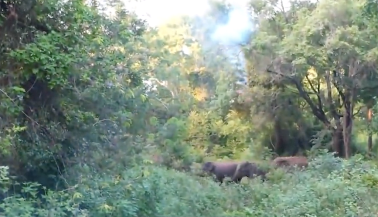 Screenshot 2025 11 03 at 14.57.04