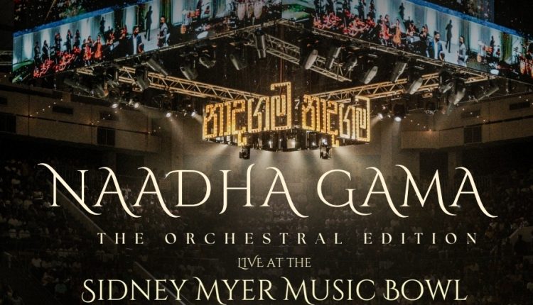 Screenshot 20251119 150703 Drive