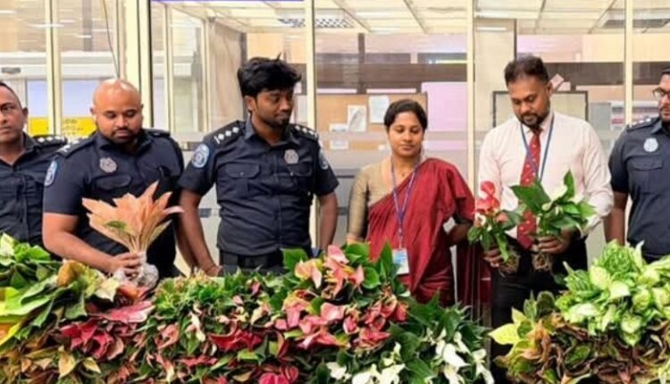 Screenshot 20260207 204217 Facebook