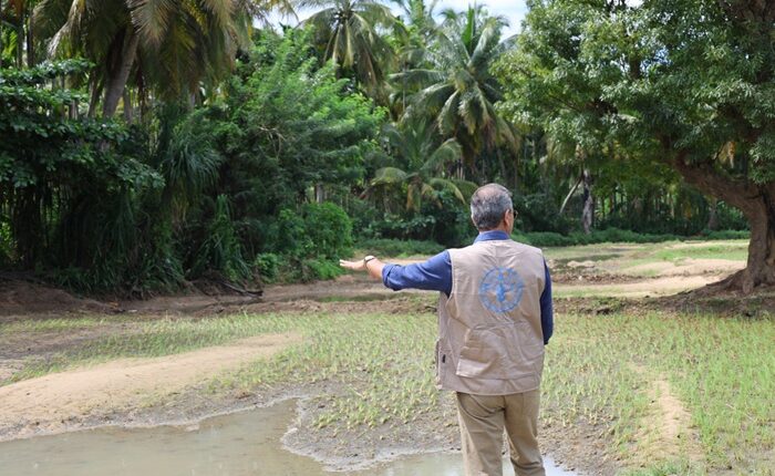 Vimalendra Sharma FAO