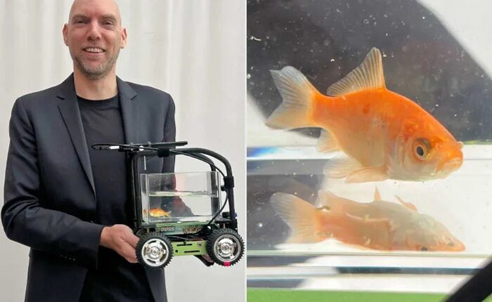 Gold fish Guinness Record