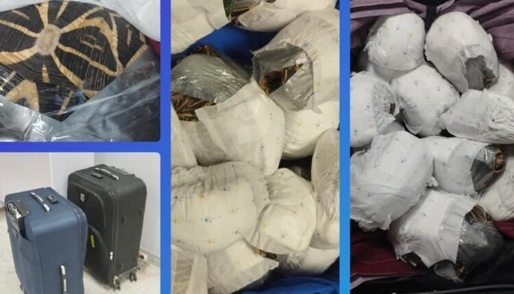 Screenshot 20260302 181315 Facebook