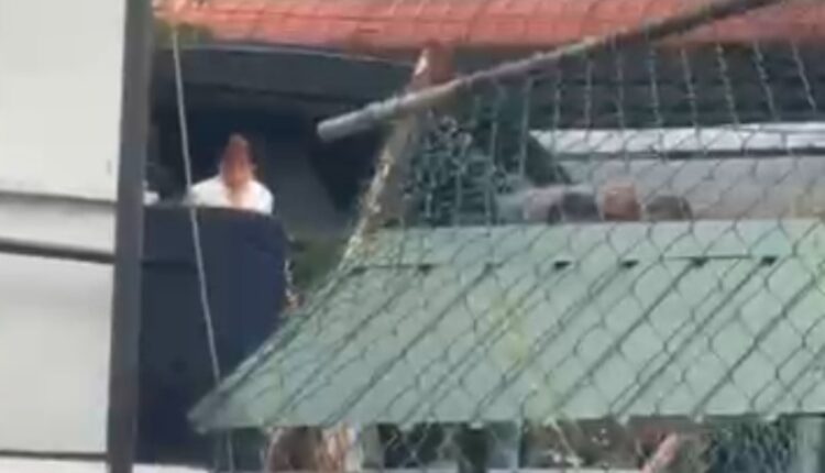 Screenshot 20260330 155812 WhatsApp