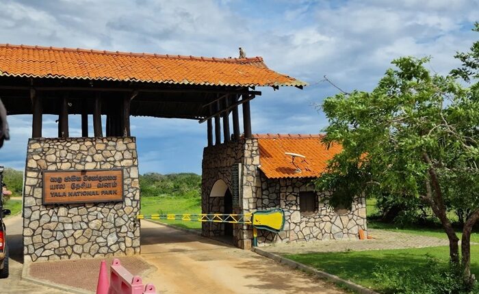 Yala National Park
