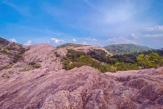 d02c66b5 c342 4d28 9975 a2895f872778