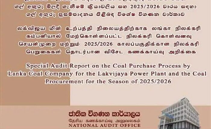 Auditor General coal imports
