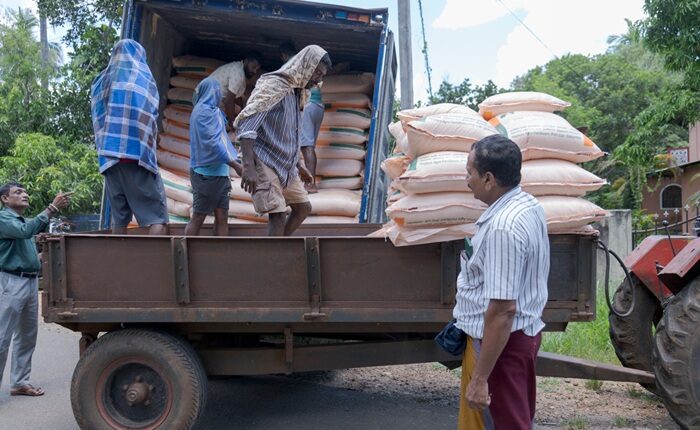 FAO fertilizer