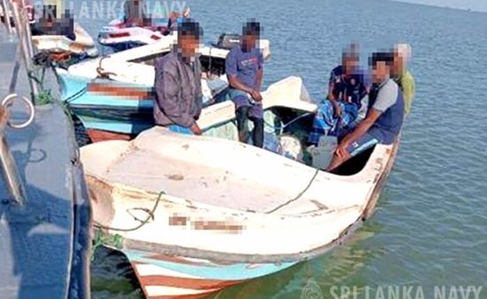 Illegal sea cucumber