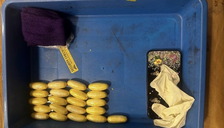 Screenshot 20260413 105937 Gallery