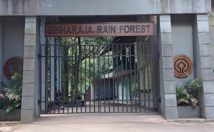 Sinharaja Forest
