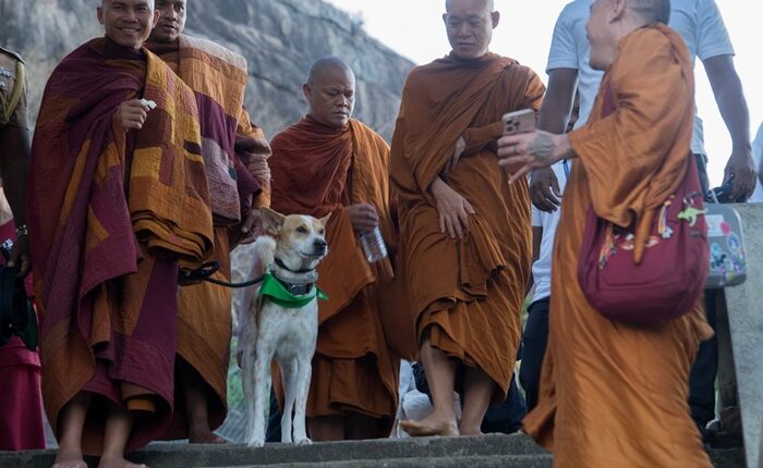 Walk for Peace 1 1