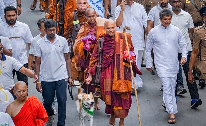 Walk for Peace 4