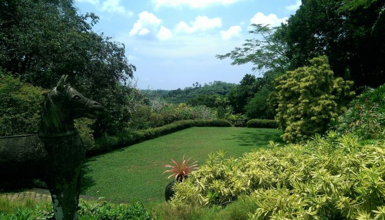 Brief Garden by Bevis Bawa