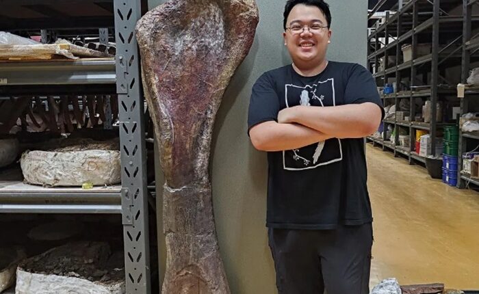 Dinosaur Thailand