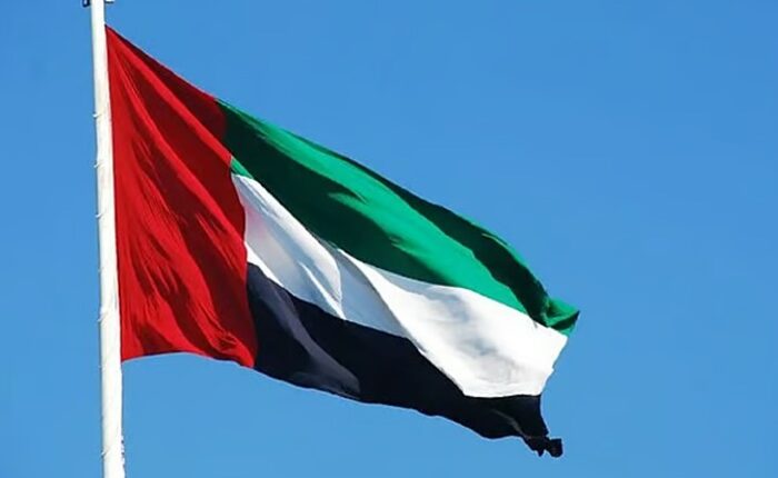 UAE flag