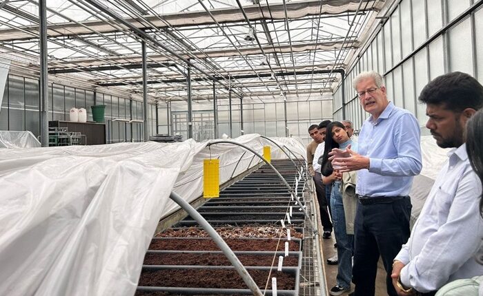 cocopeat Netherlands