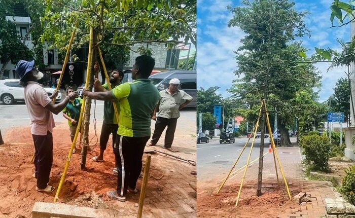 CMC tree relocate