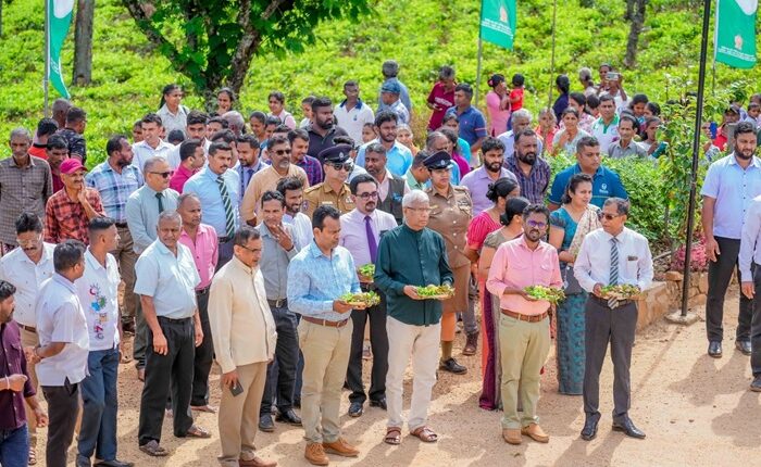 Ceylon teal village 1