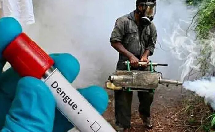 Dengue 1 1