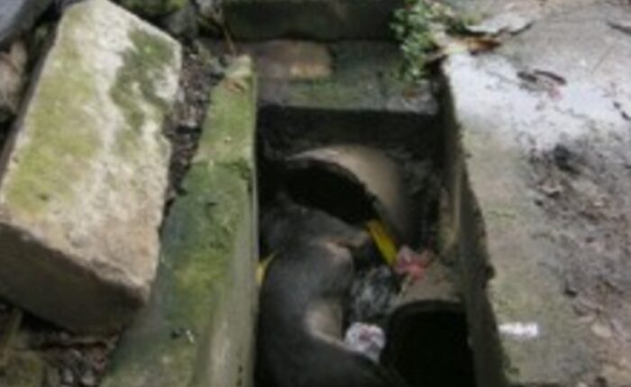 Drain