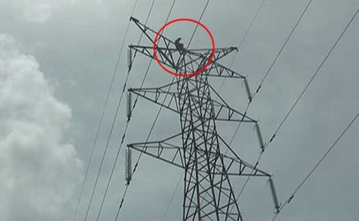 Electricity pole protest